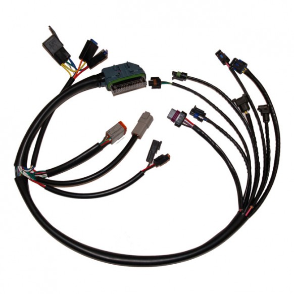 Namz, OEM style complete EFI Harness 02-05 B.T. With EFI (NU)
