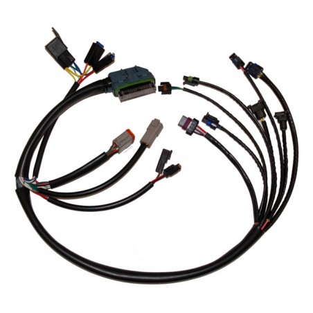Namz, OEM style complete EFI Harness 02-05 B.T. With EFI (NU)